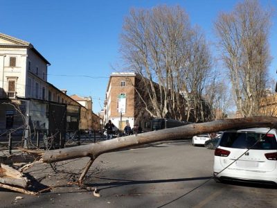 Roma, albero cade su tre auto in centro: due feriti gravi