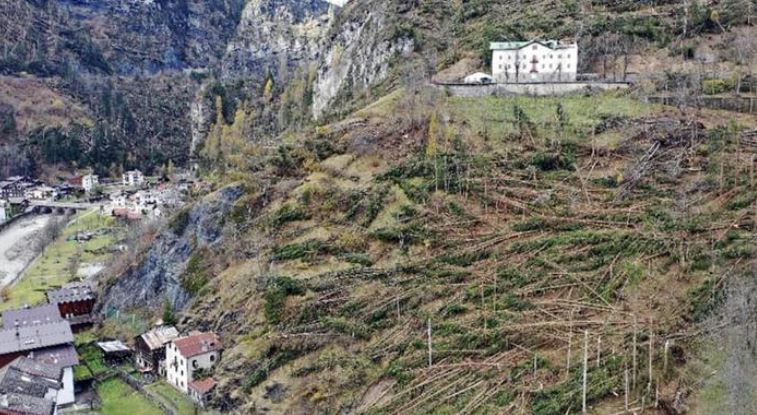 Dopo La Tempesta Vaia, La Rinascita Dei Boschi In Alto Adige - Ultime ...