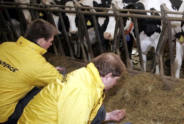 Ue: Troppi Antibiotici Usati Negli Allevamenti Intensivi - Il Valore ...