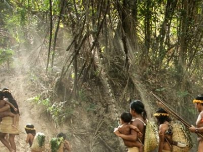 Venti milioni di euro stanziati al G7 per l’Amazzonia