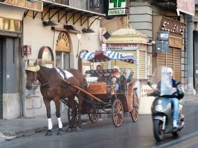 Palermo, carrozzelle cavalli, IHP: “Esito tavolo tecnico insufficiente”