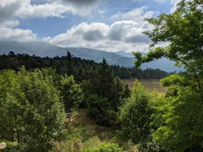 Un positivo al raduno hippie in Alto Mugello: bosco isolato