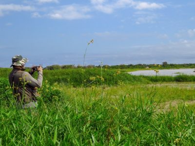 Birdwatching, tra natura e voli incantati: cos’è e dove praticarlo